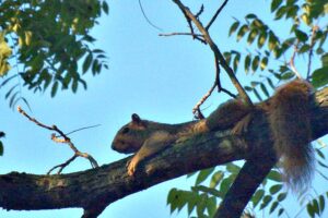 Personal Chatter and a Hug